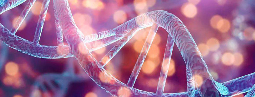 4 curiosidades sobre o DNA